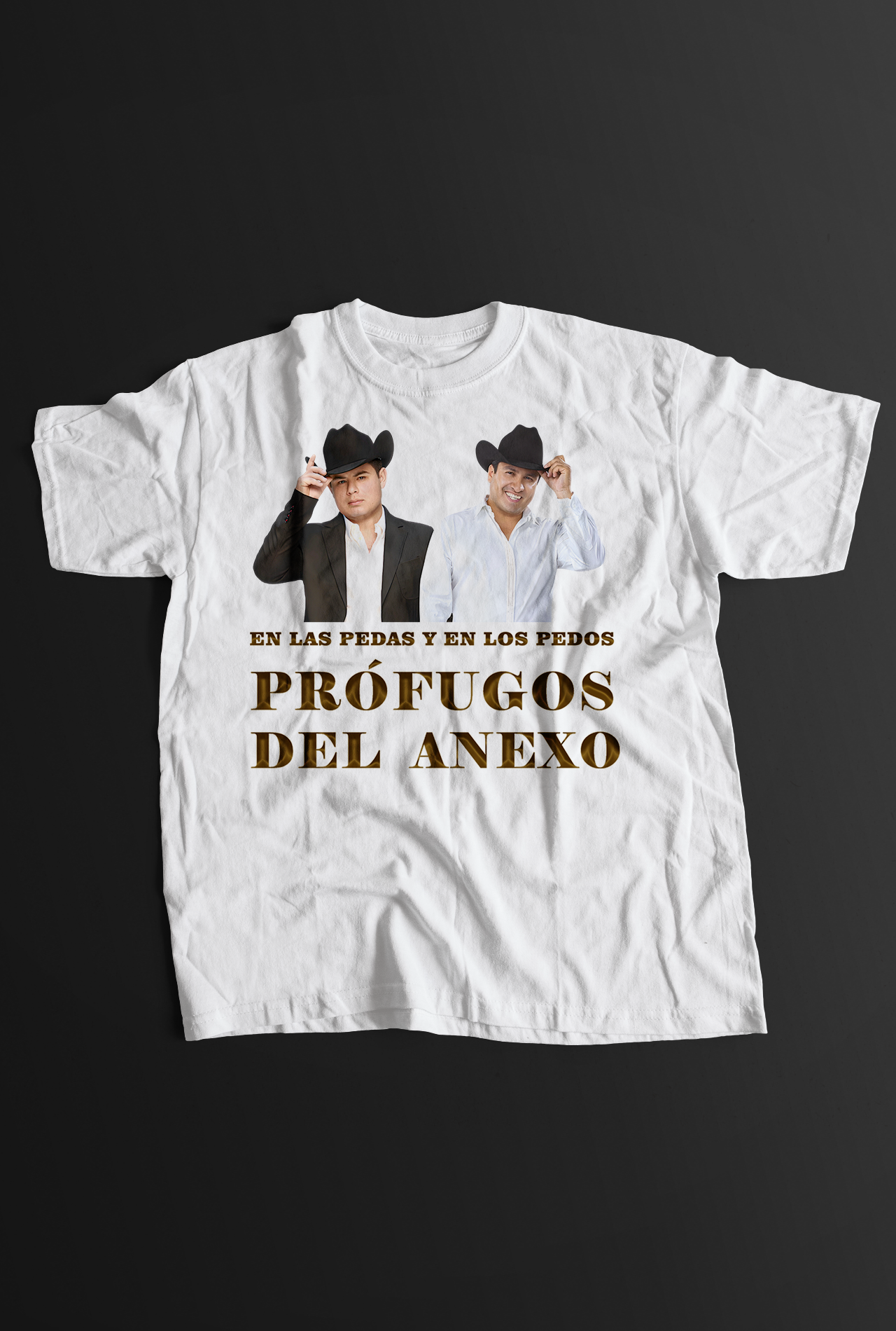 PROFUGOS DEL ANEXO 2